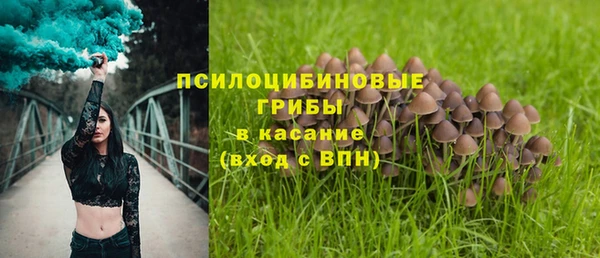 таблы Верея
